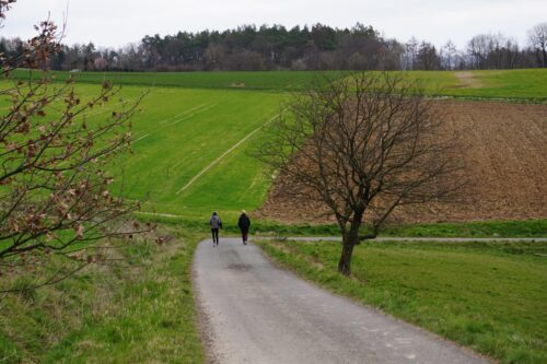 Markvej landskab